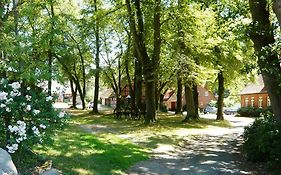Ferienpension Lindenhof - Ferienwohnungen In Der Lueneburger Heide